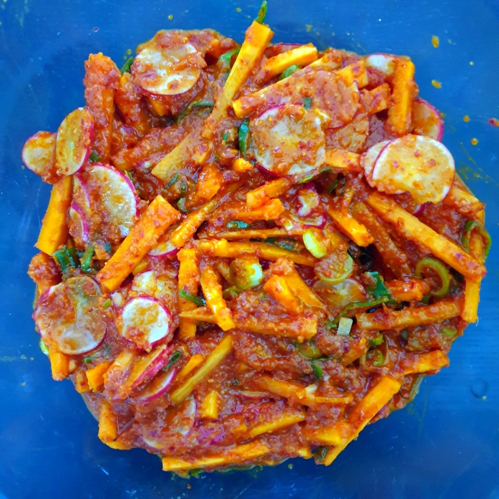 Légumes et gochugaru pour le kimchi