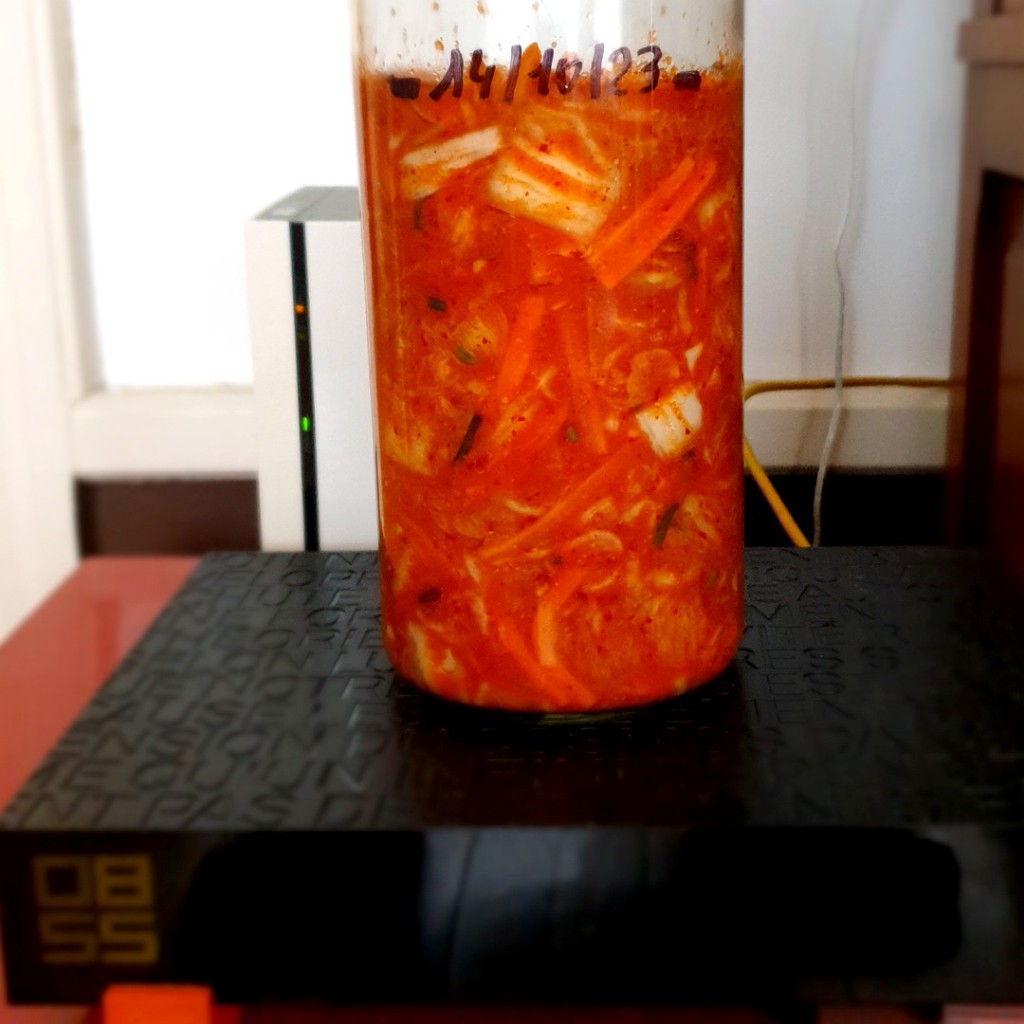 Début de lactofermentation du kimchi